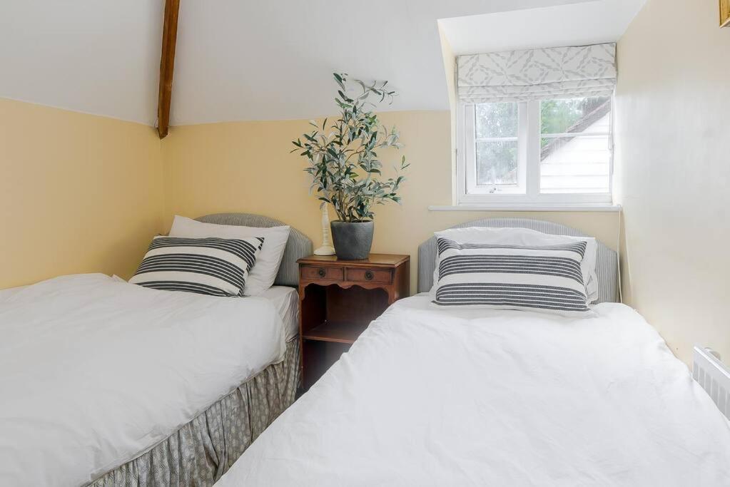 Adorable 2 Bedroom Guest House Хоукхърст Екстериор снимка